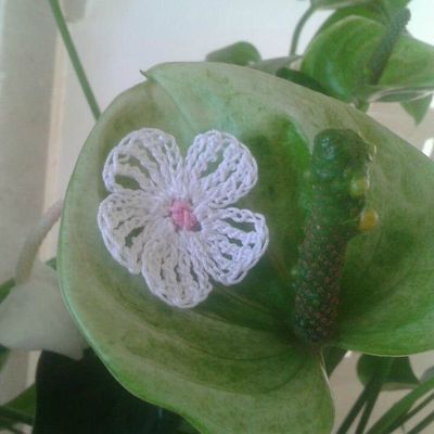 FLEUR AU CROCHET 