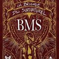 Limbus Patrum (La Brigade du Surnaturel #1) de Floriane Impala