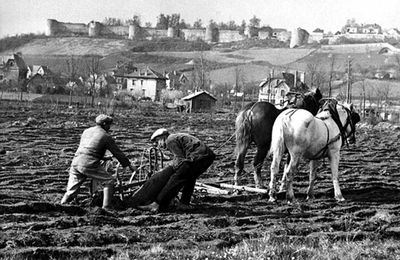 Les séquelles environnementales de la Grande Guerre