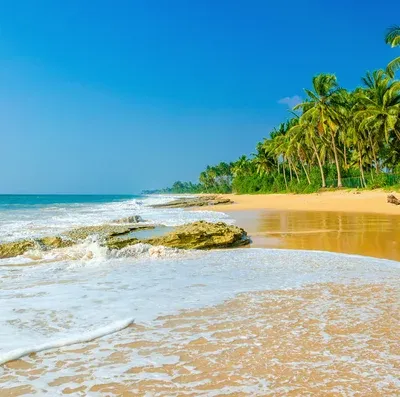 Retraite Yoga Martinique