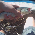 2ème sortie de pêche de fermeture d la truite