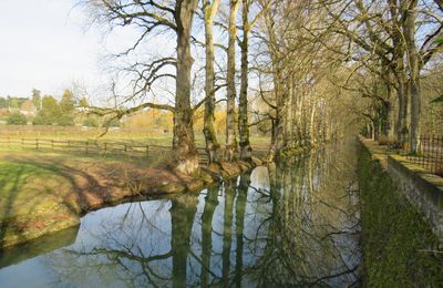 Balade en Touraine : Chenonceaux.