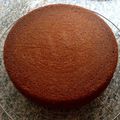 Gateau au yaourt et au chocolat en poudre ! 