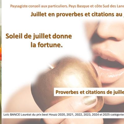 👨‍🌾 Juillet en proverbes et citations au jardin. Paysagiste pays basque Paysagiste Landes.
