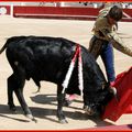 BÉZIERS - l'ETBM reçoit 7 écoles taurines