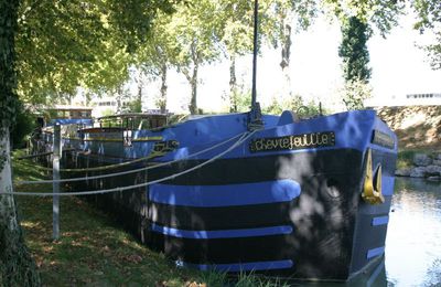 Une ballade au Canal du Midi - Port-Sud, à Ramonville.