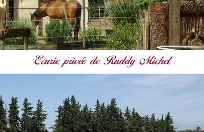 PENSION DE CHEVAUX