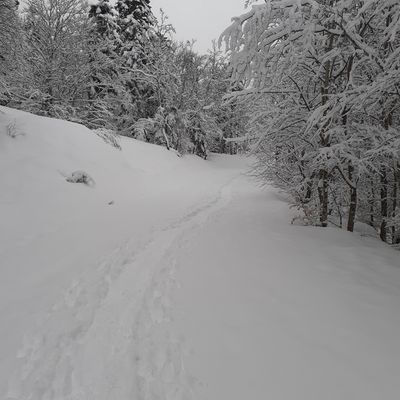 Raquettes à Lans en Vercors