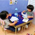Les devoirs des garçons. C'est casse-pieds ! / Boys' homework. It's annoying!
