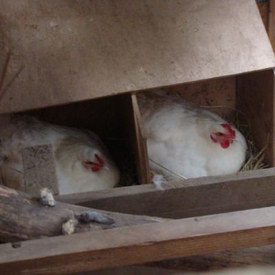 Après le beau temps ...