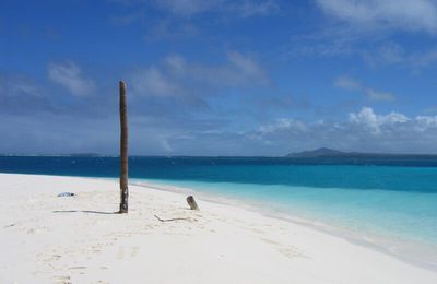 Les bronzés en Calédonie