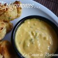 Sauce au Fromage pour Nachos …… ( Chile con Queso)