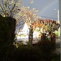 Arc en ciel