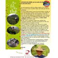 Voyage en Chine sur la route du Thé du 13 au 28 avril 2013