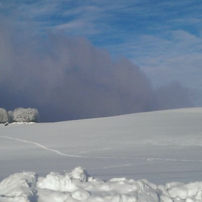 What else! 1 luge + 2 paires de ski = Bonheur