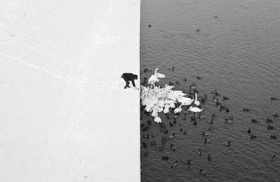 Award international 2013 de la photographie.
