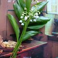 COMMENÇONS AVEC UN BRIN DE MUGUET, NOTRE BALADE.