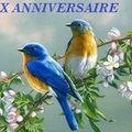 Une petite carte d'anniversaire