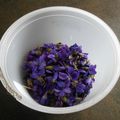 Sirop de violettes