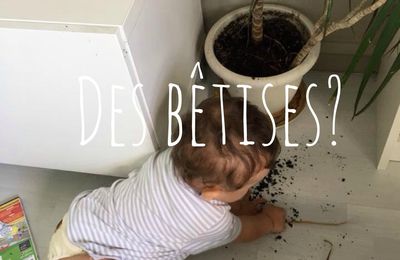 DES BÊTISES? 