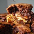 Browkie aux Michokos