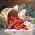 Framboises