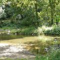 Dimanche à la campagne...Saint Léonard-des-bois !! Suite...