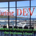 vidéo de conférence du 14 Novembre 2019: Martine DEVIC "reproduction et développement des graines des plantes à fleurs"
