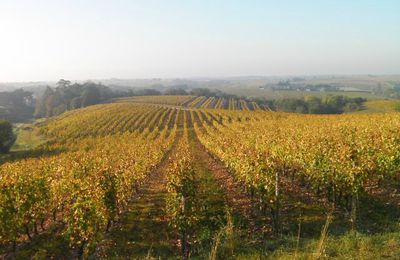 Anjou : en avril, il faut suivre le fil... d'actualité!...