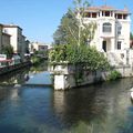 Mes achats sur le marché de l'Isle sur la Sorgue. 