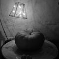 Halloween, nature morte