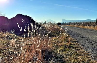 Aleyrac... sur la piste du Pic Saint-Loup