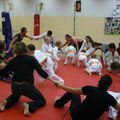 VILLENEUVE : Une soirée martiale et originale de l'association d'Aiki Budo