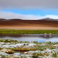 Chili - San Pedro de Atacama