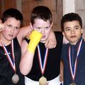 TROIS TITRES DE CHAMPIONS DE PICARDIE POUR LES JEUNES DU POWER BOXING CLUB HIRSONNAIS.
