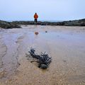 Une journee a la plage... en juin... en Ecosse.. sous le brouillard