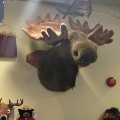 Canada suite et fin...