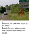 Même un accident grave ne les fait pas bouger!