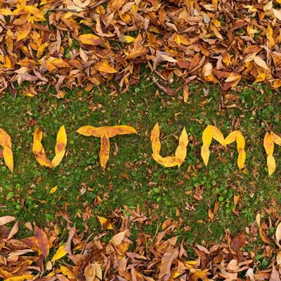 16 octobre : Atelier permaculture d'automne
