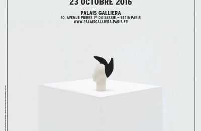 "Anatomie d'une collection" au Palais Galliéra