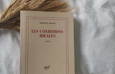 Les conditions idéales- Mokhtar Amoudi