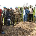 Bukavu : fosse commune, pas d’ossements humains