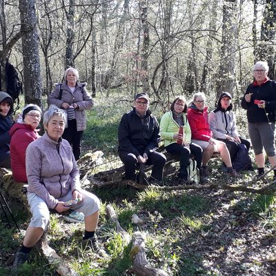 PROGRAMME DES RANDOS 4ème trimestre 2025