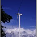 Eoliennes en Vendée à Froidfond