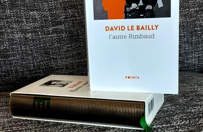 # 397 L'Autre Rimbaud, David Le Bailly