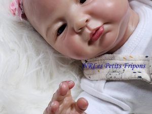 MAJARA du Kit de Elisa Marx