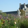 Le jardin des Tuileries