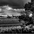 ROSENDAEL DU COTE DES MARAICHERS EN NOIR ET BLANC 