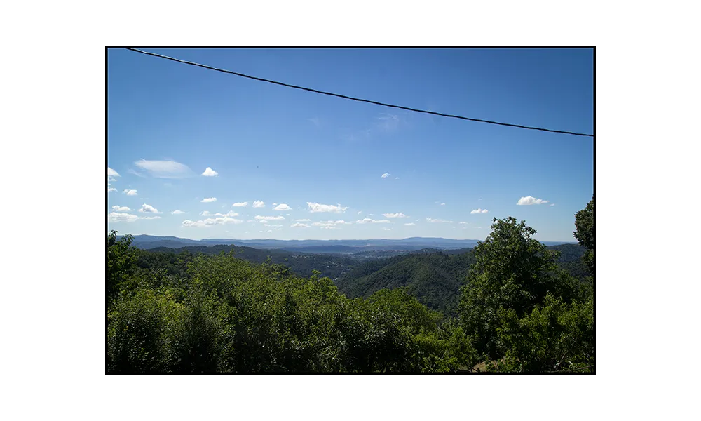 La Litanie des Cimes - Woodlands