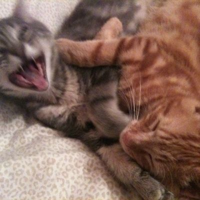 Le jour où tout a basculé (hommage à une série culte)